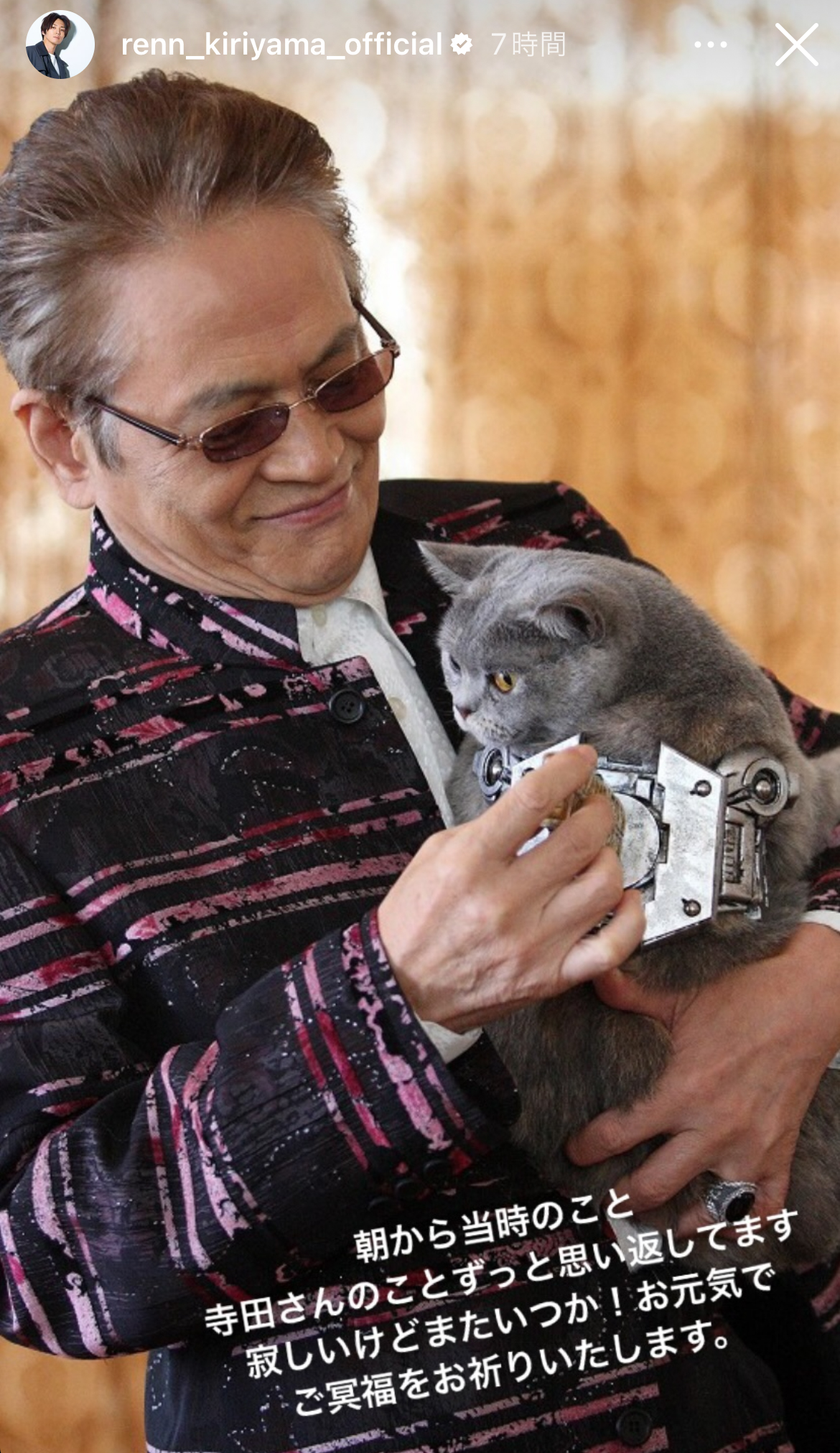 桐山漣のインスタグラムから