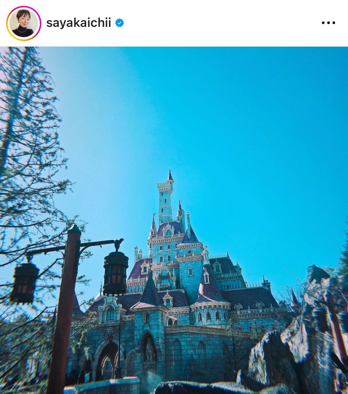 市井紗耶香のインスタグラムから