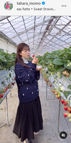 田原萌々アナのインスタグラムから
