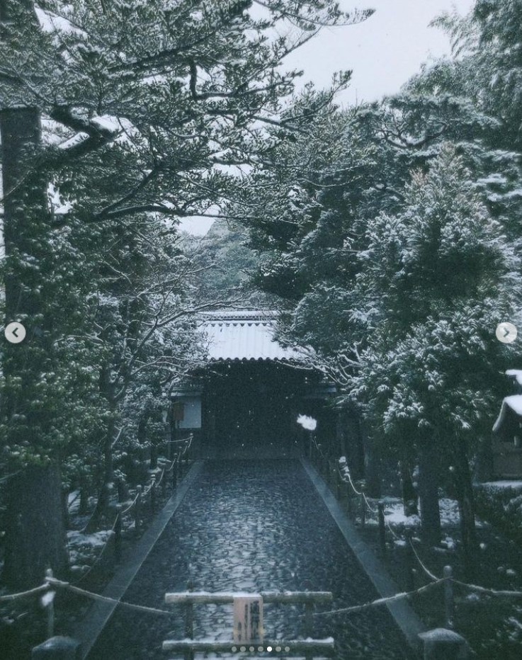 吉岡里帆の公式インスタグラムから