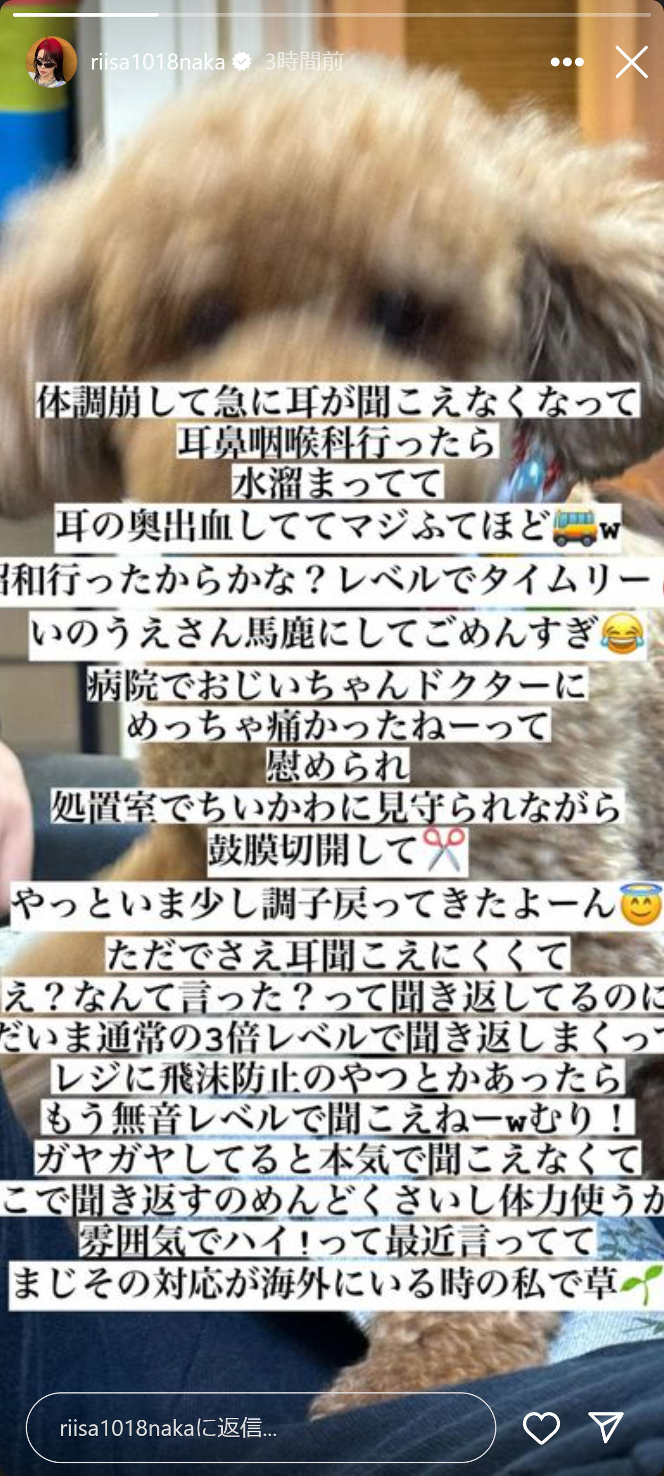 仲里依紗のインスタグラムから