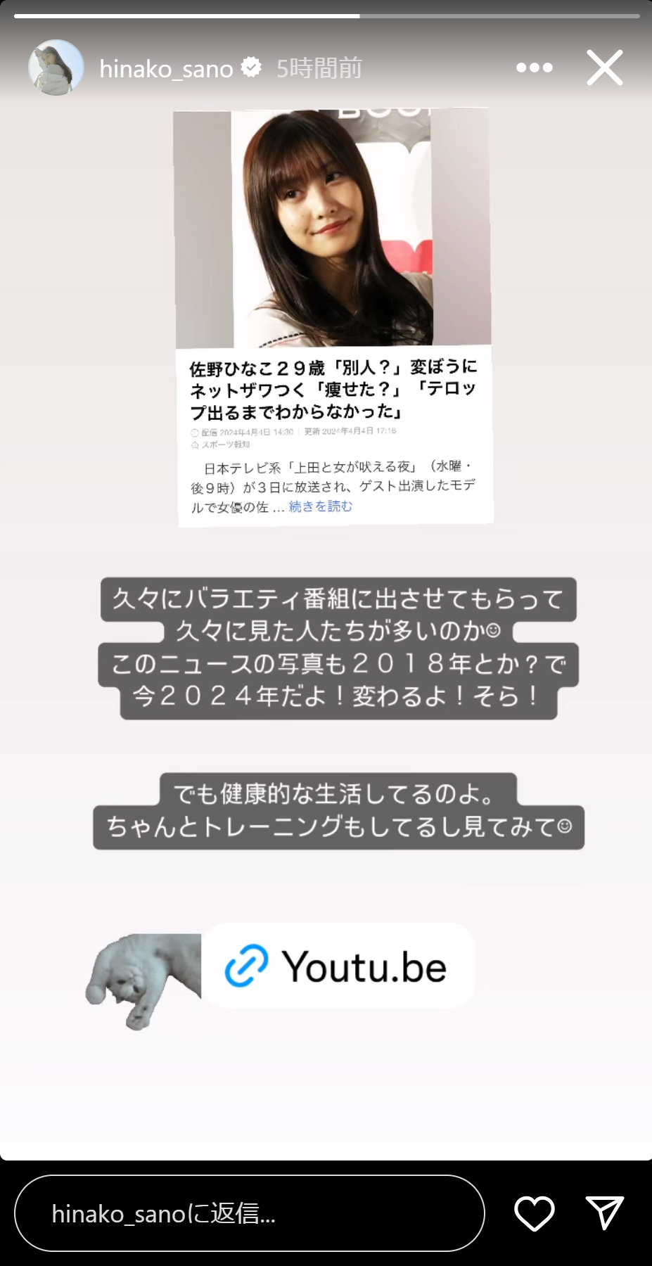 佐野ひなこのインスタグラムのストーリーズから