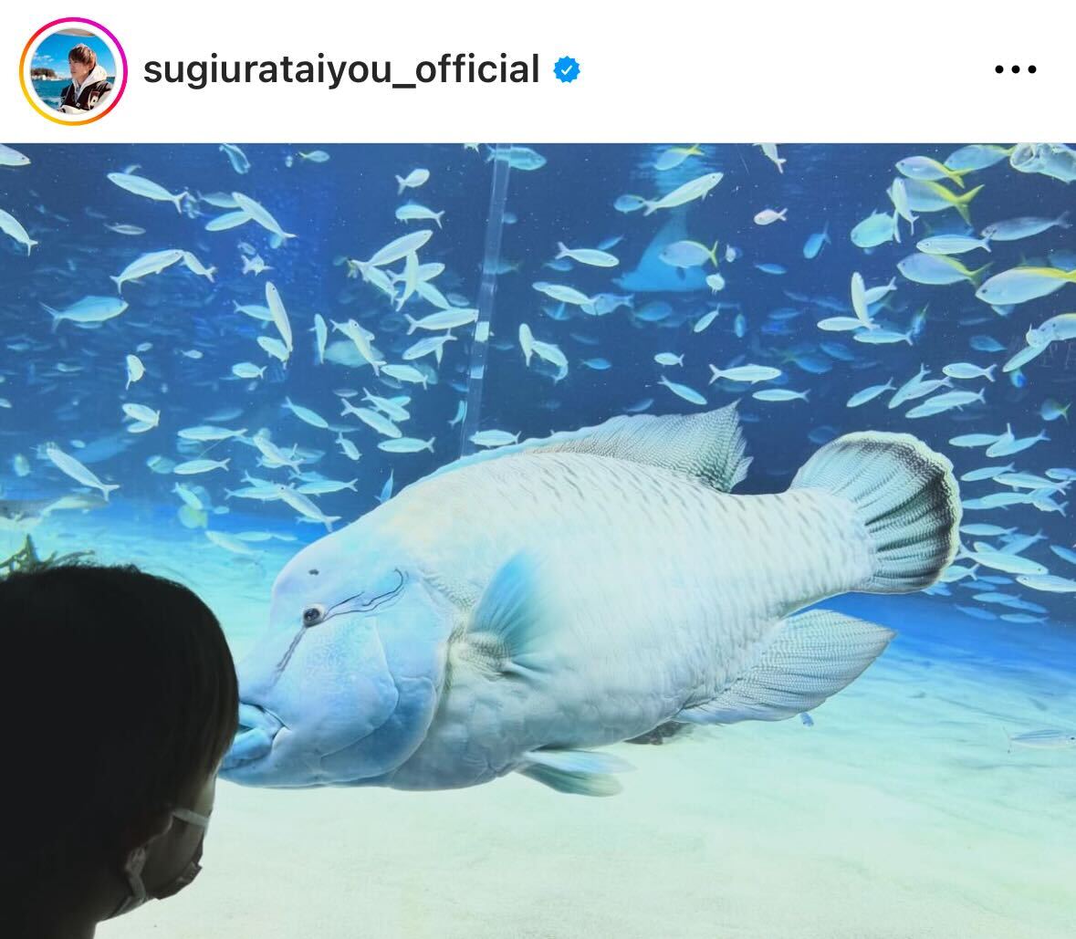 杉浦太陽のインスタグラムから