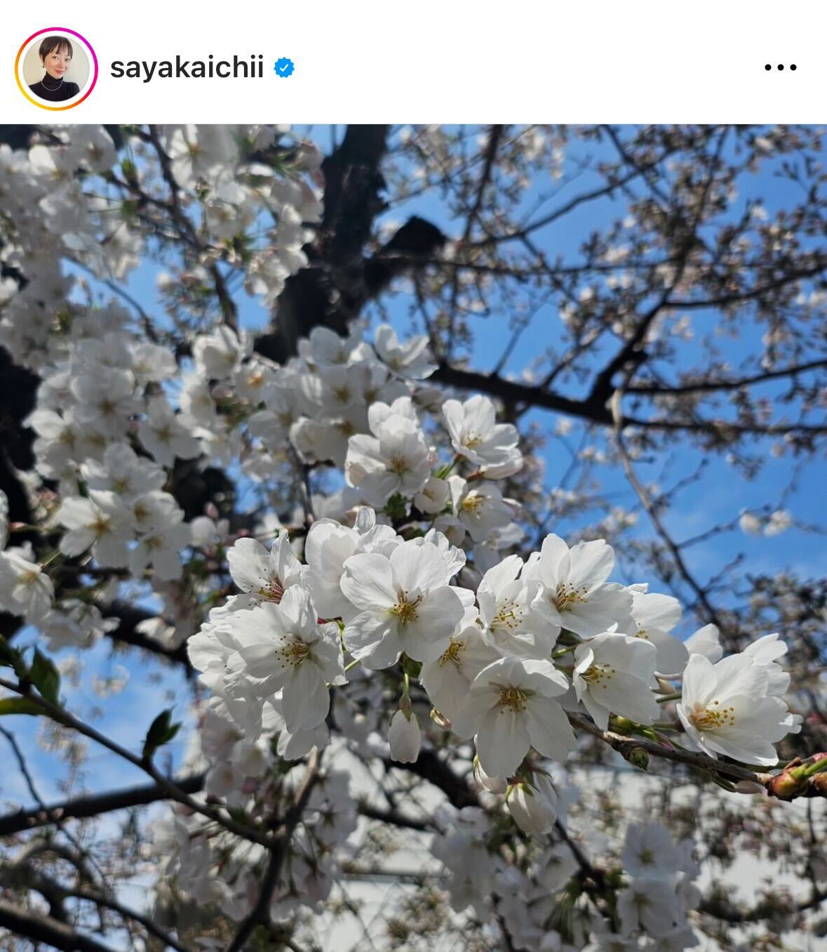 市井紗耶香のインスタグラムから