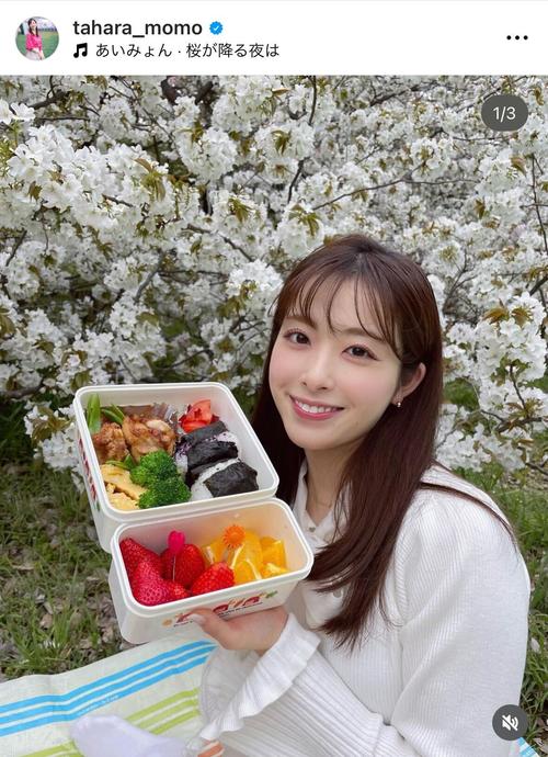 田原萌々アナ「一緒に行った気分になっていいですか」美味しそうな手作り弁当で花見を楽しむ　