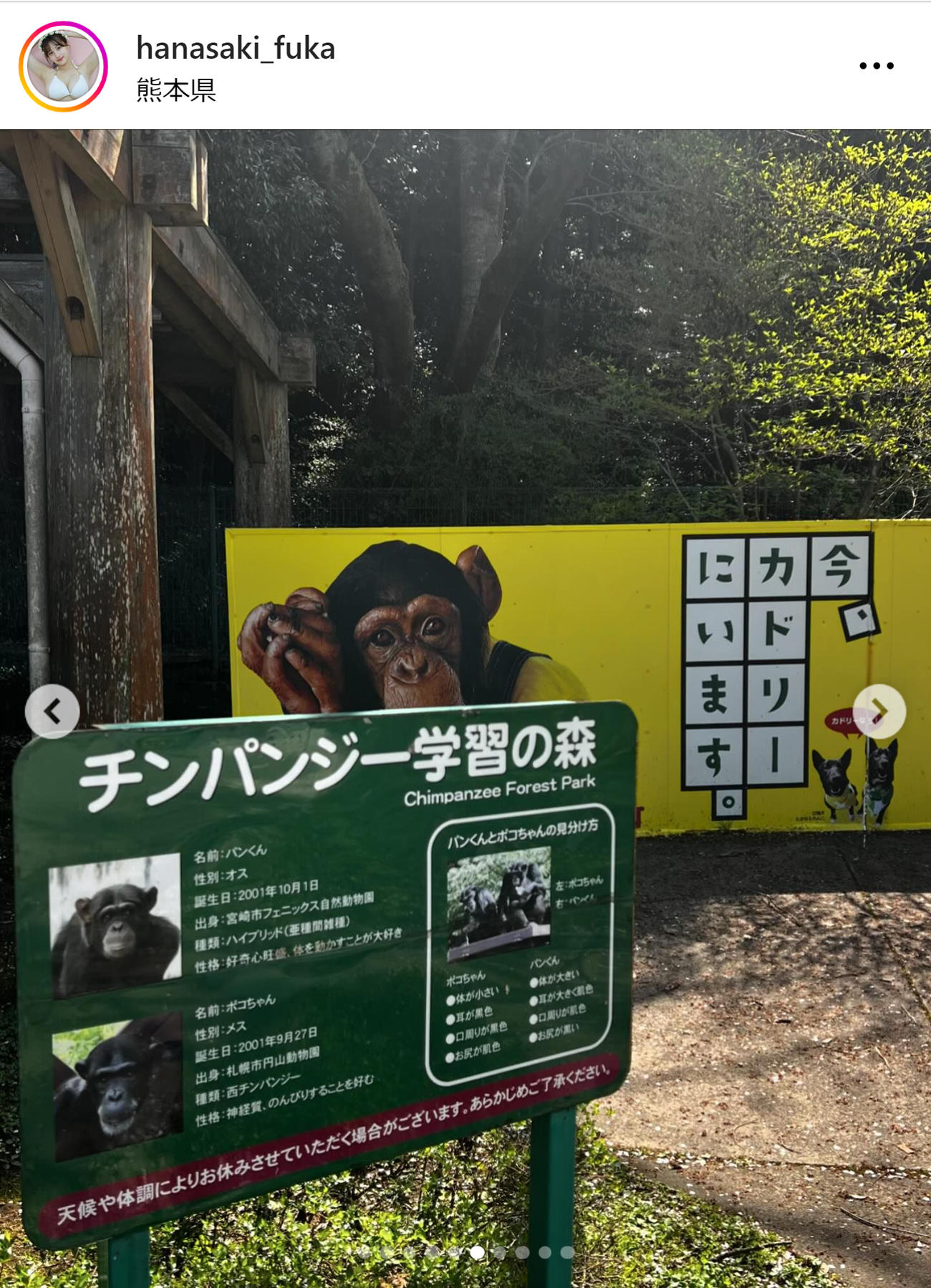 花咲楓香のインスタグラムから