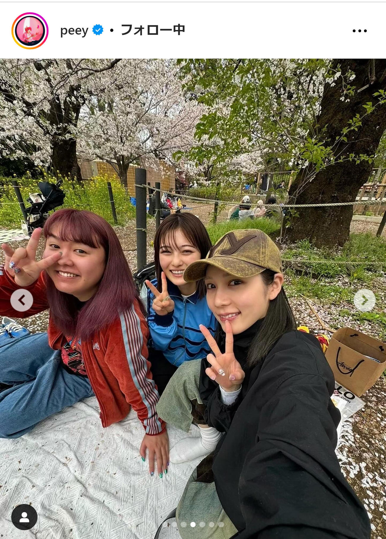 ぺえのインスタグラムから