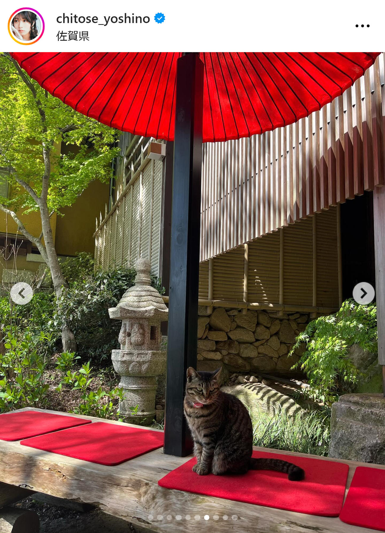 ちとせよしののインスタグラムから