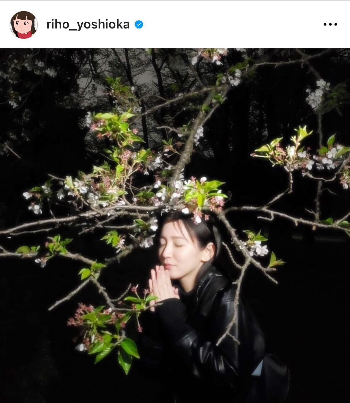 吉岡里帆のインスタグラムから