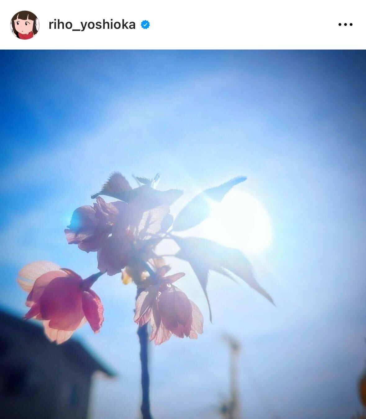 吉岡里帆のインスタグラムから