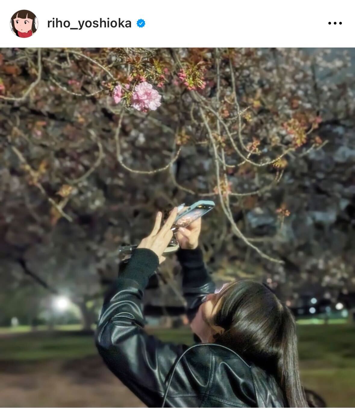 吉岡里帆のインスタグラムから