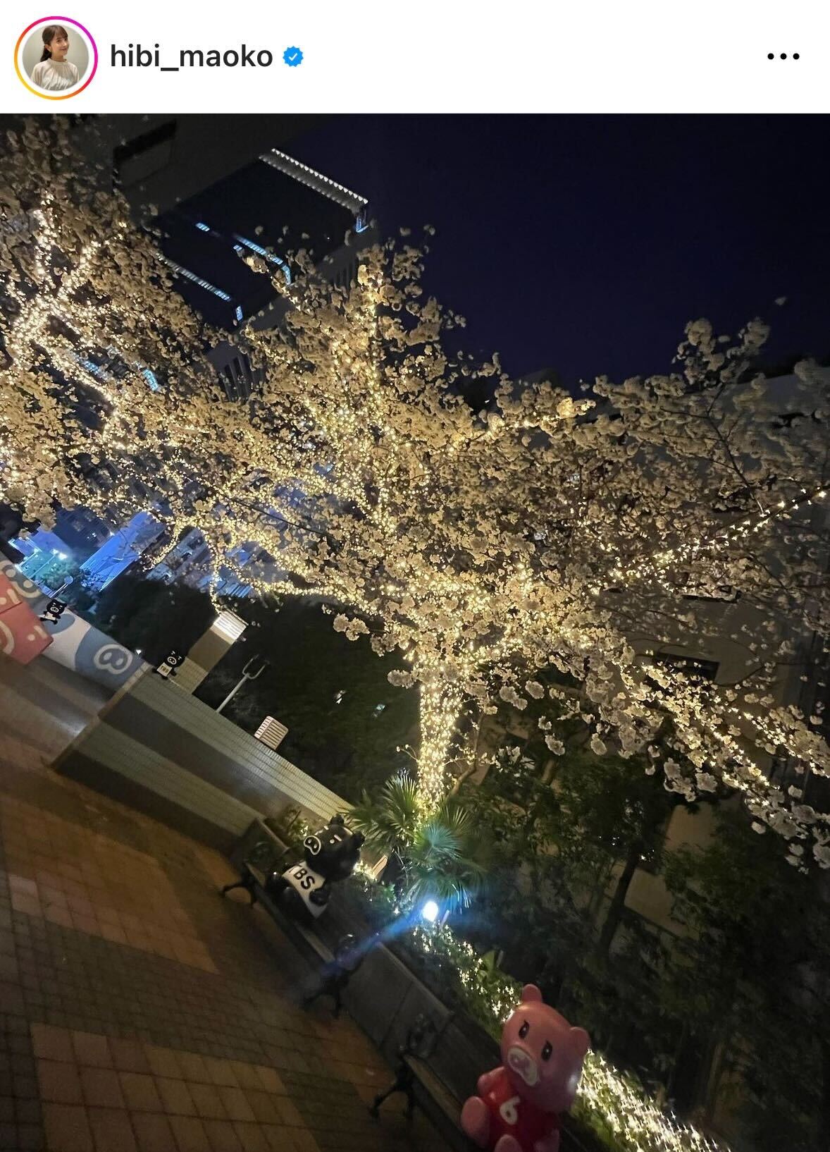 日比麻音子アナのインスタグラムから
