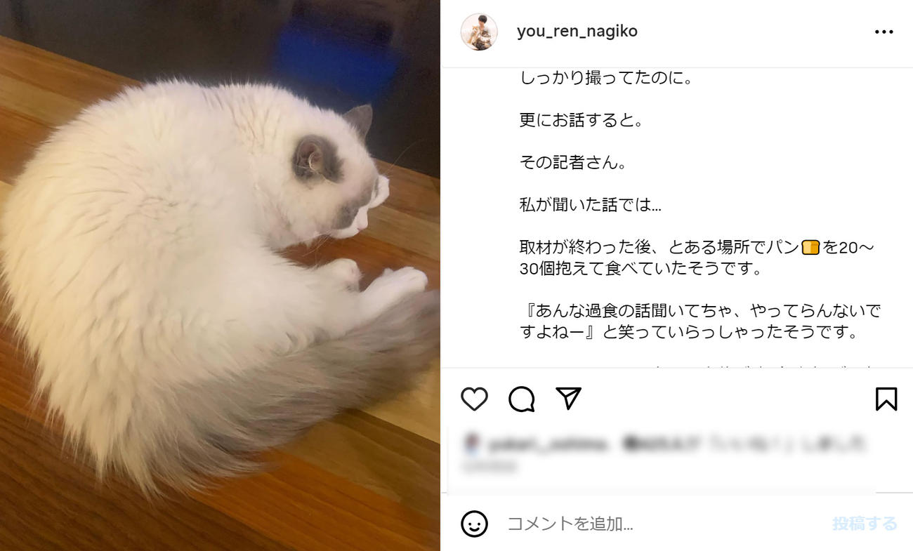 遠野なぎこのインスタグラムから