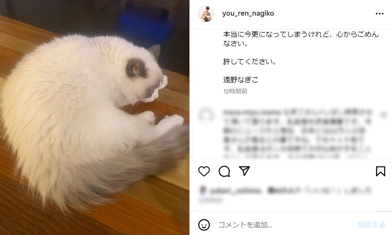 遠野なぎこのインスタグラムから