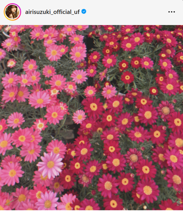 鈴木愛理のインスタグラムから