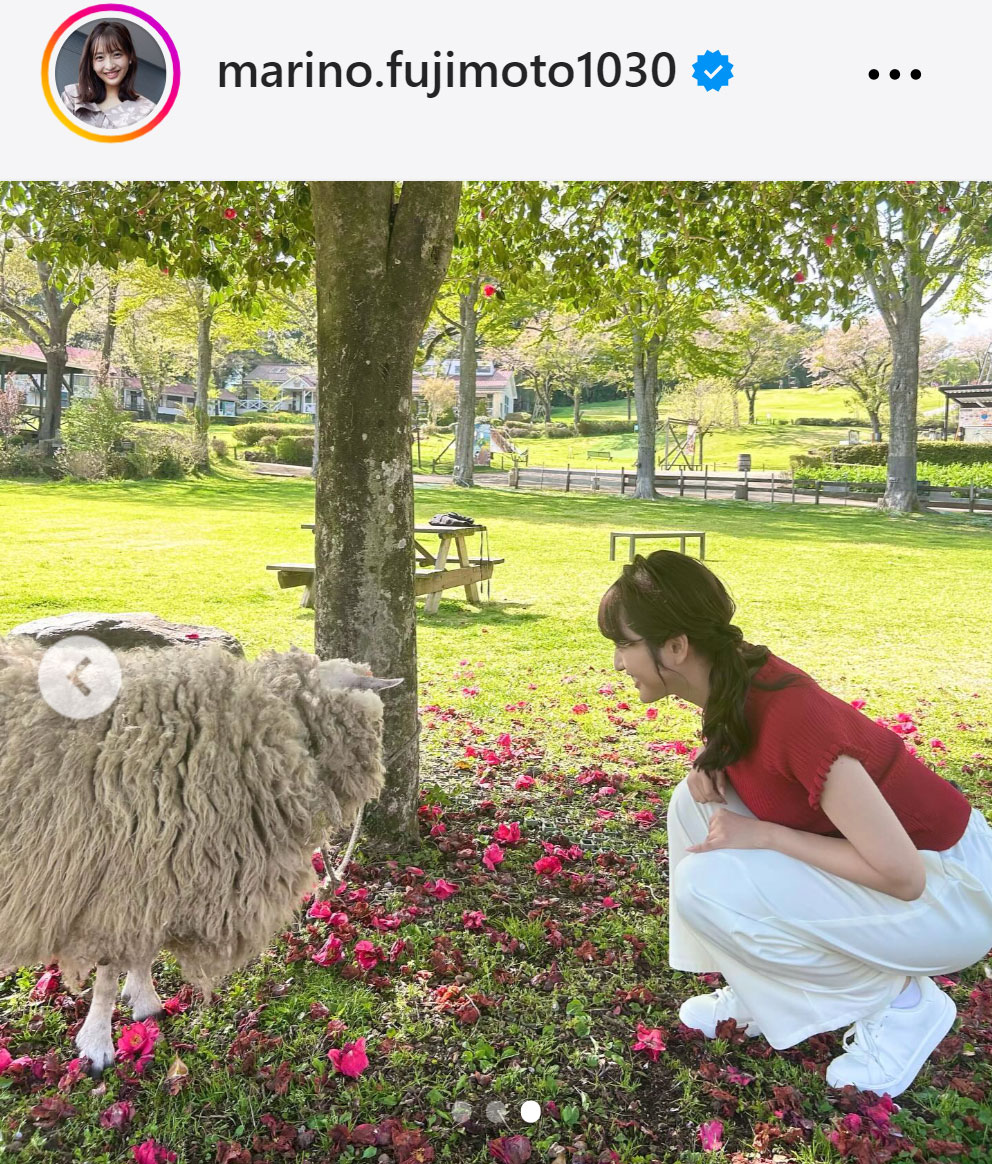 藤本万梨乃のインスタグラムから