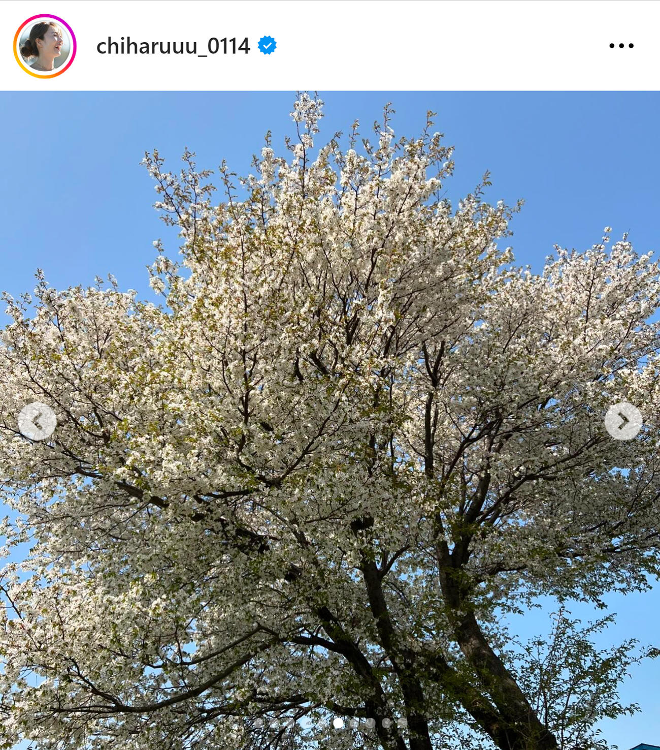新山千春のインスタグラムから