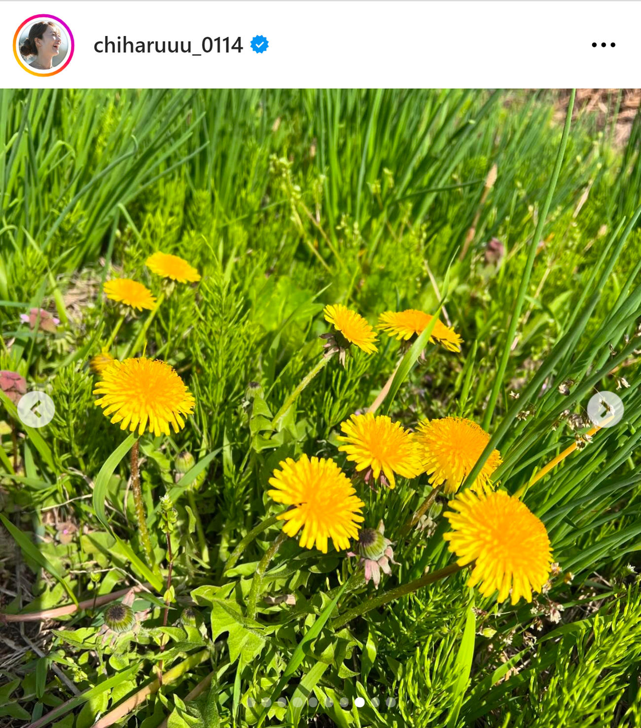 新山千春のインスタグラムから