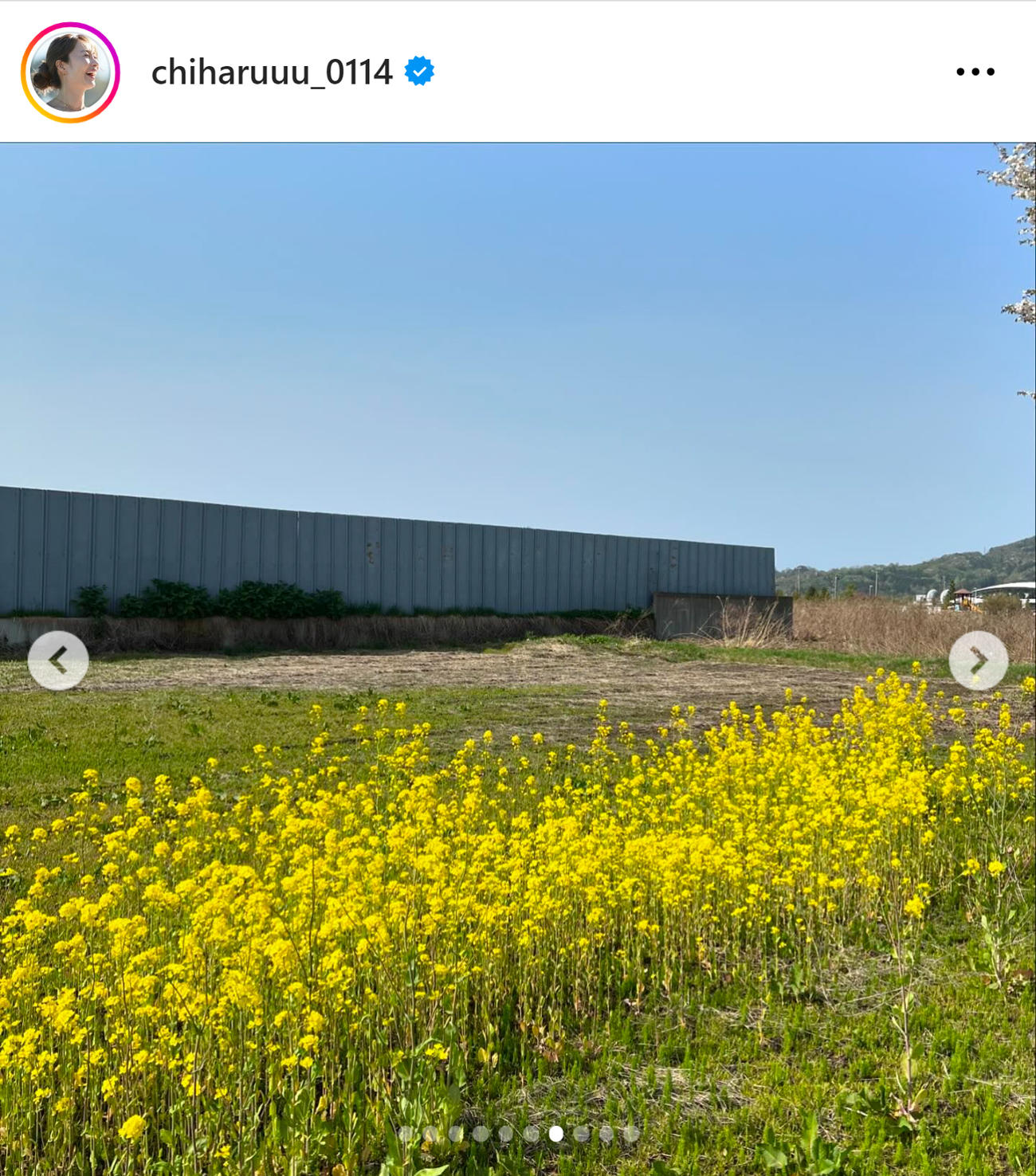 新山千春のインスタグラムから