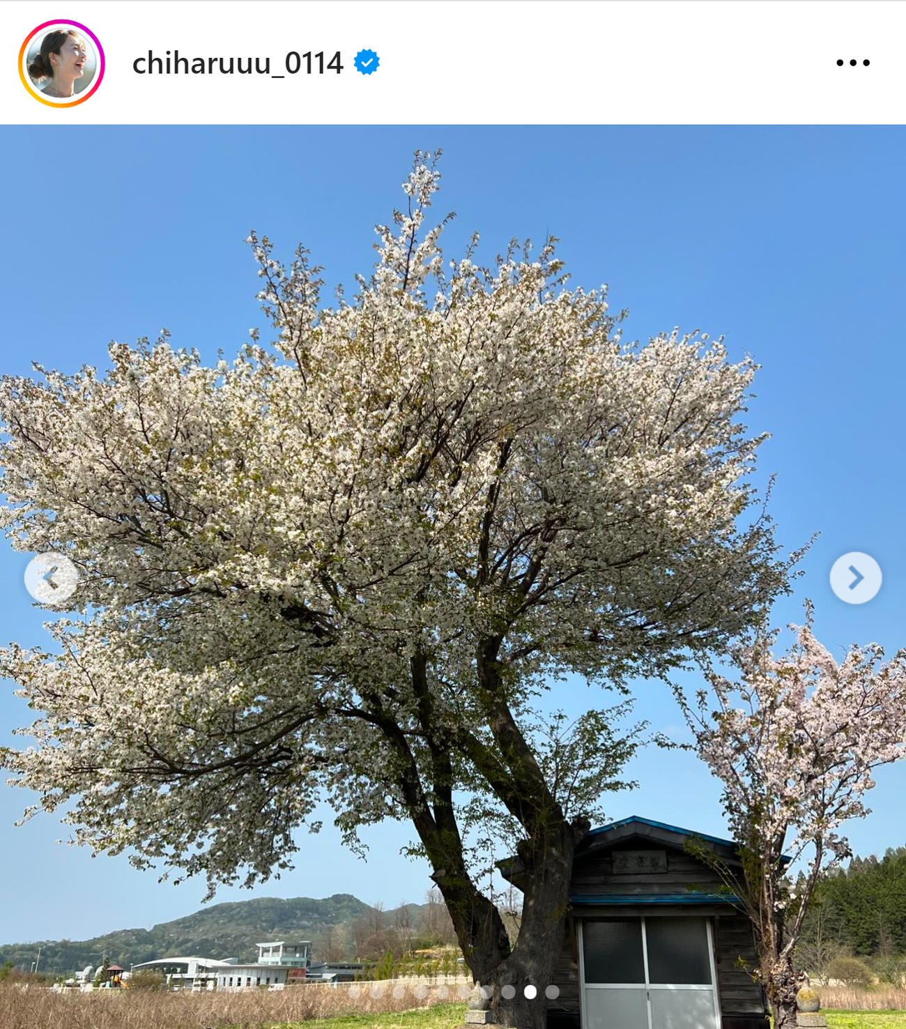 新山千春のインスタグラムから