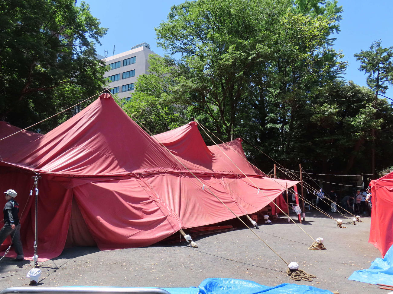 新宿・花園神社境内に設営された劇団唐組の紅テント