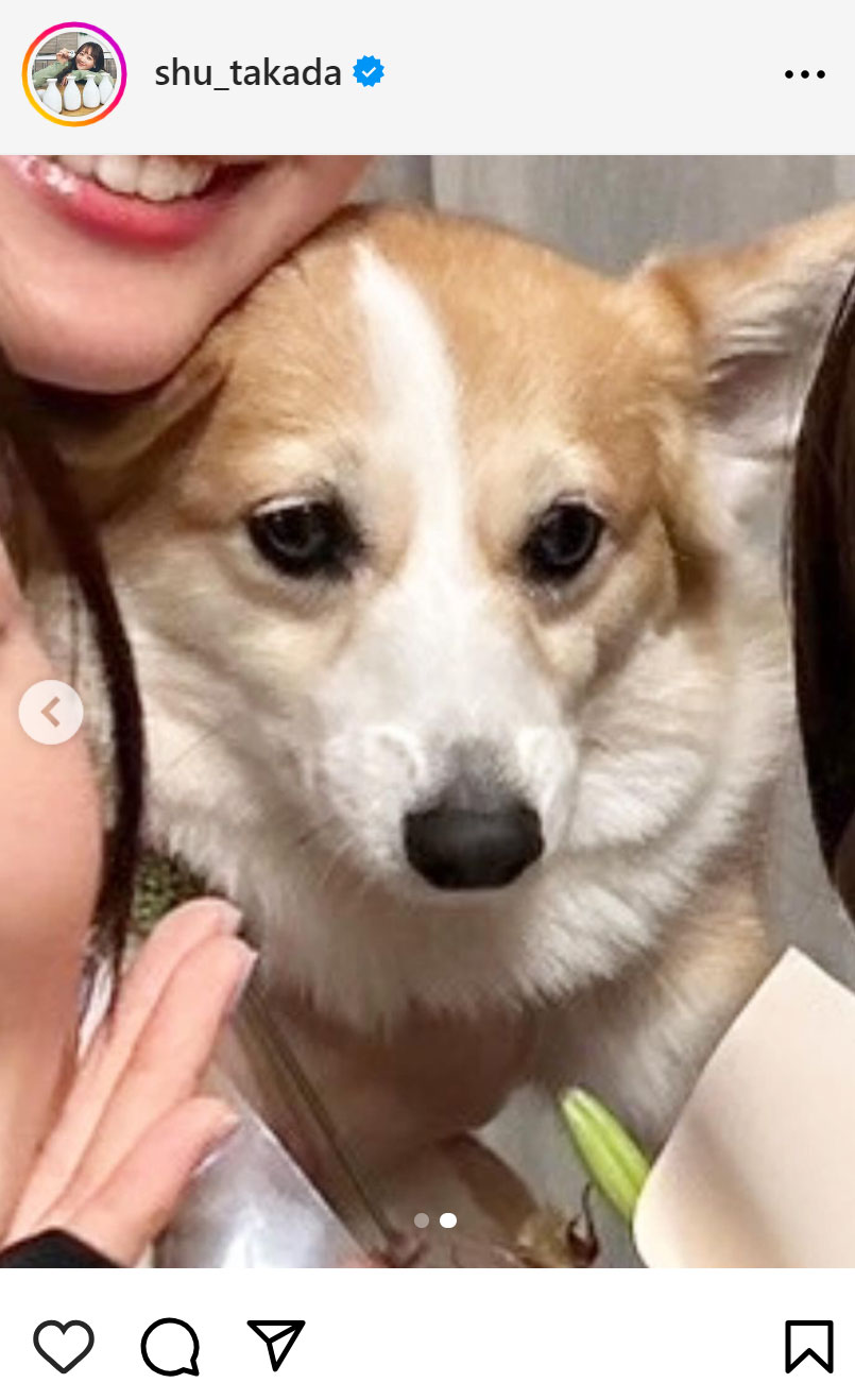 高田秋のインスタグラムから