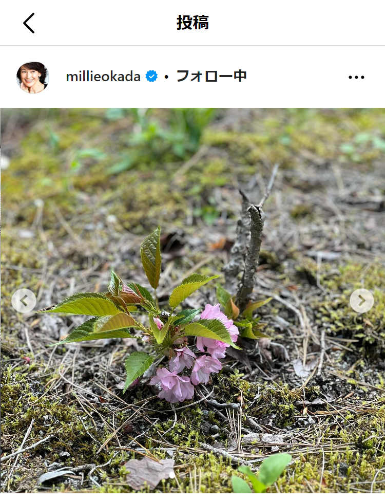 岡田美里のインスタグラムから