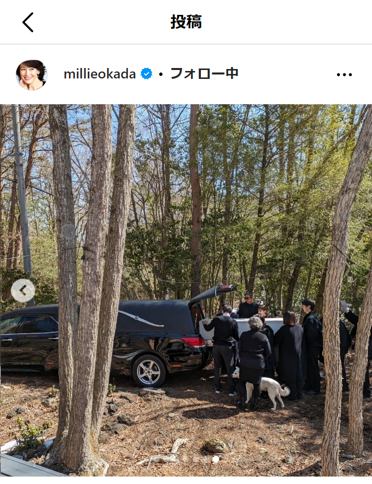 岡田美里のインスタグラムから