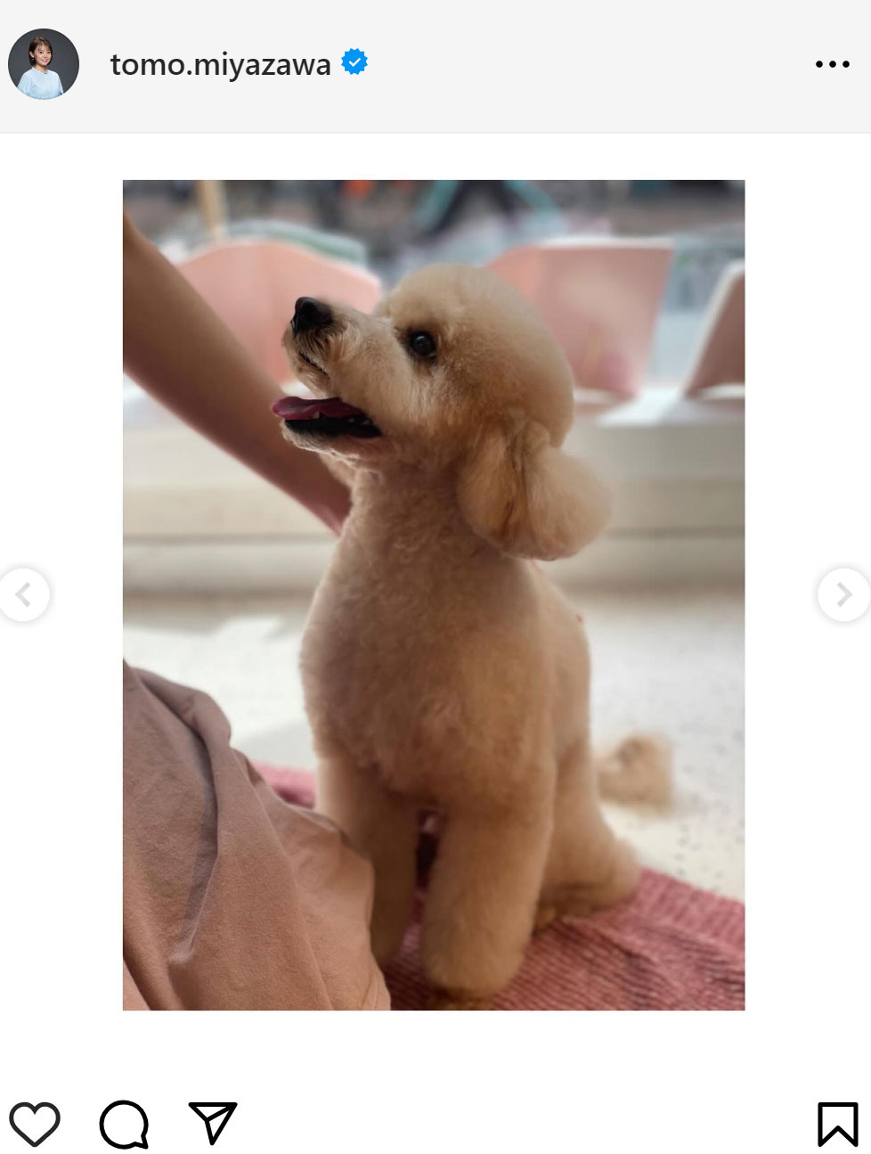 宮澤智アナのインスタグラムから