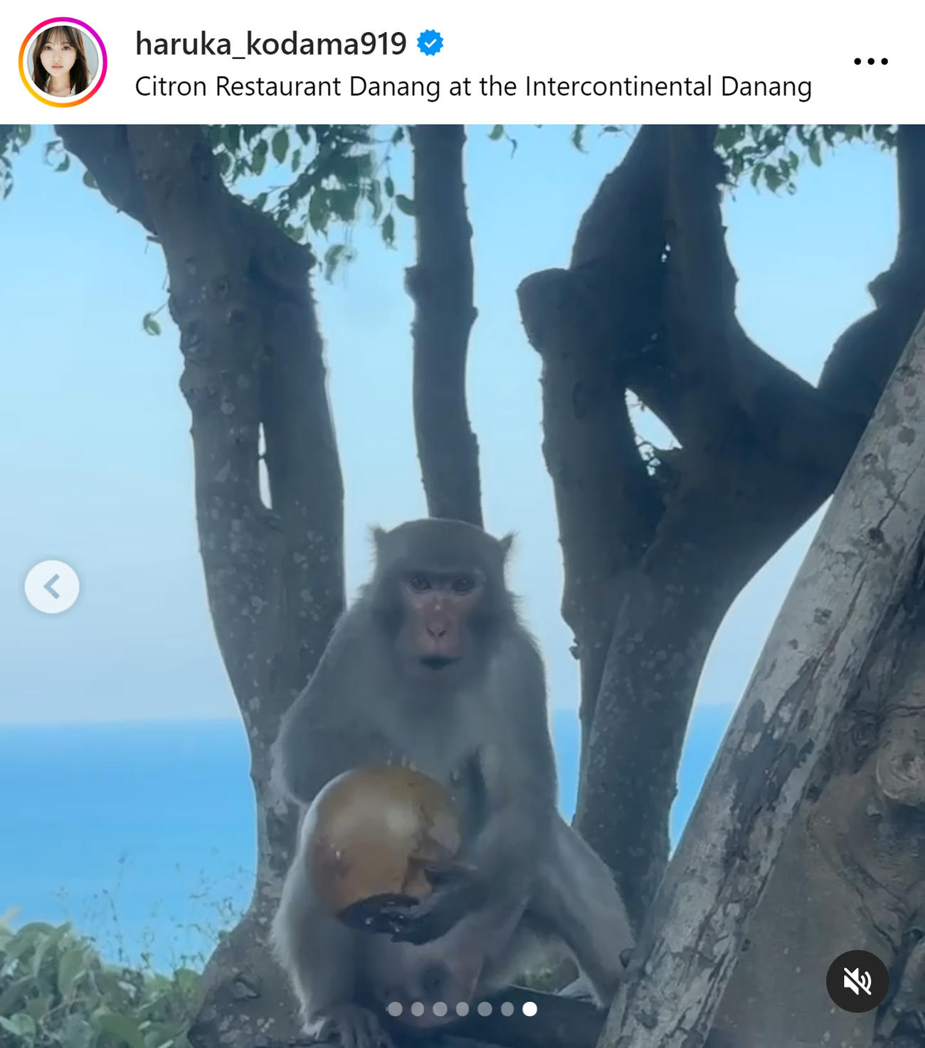 兒玉遥のインスタグラムから