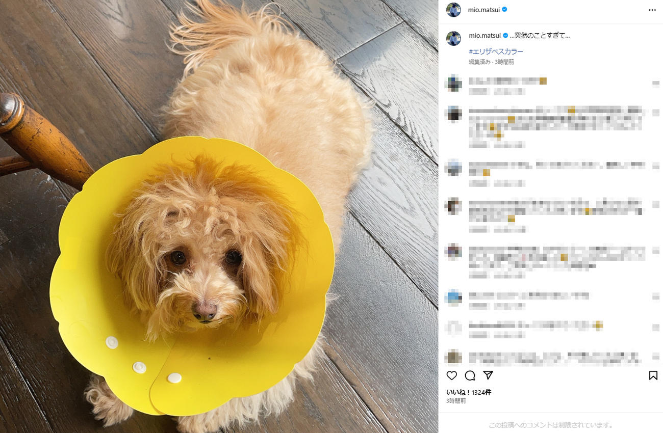 松井美緒のインスタグラムから