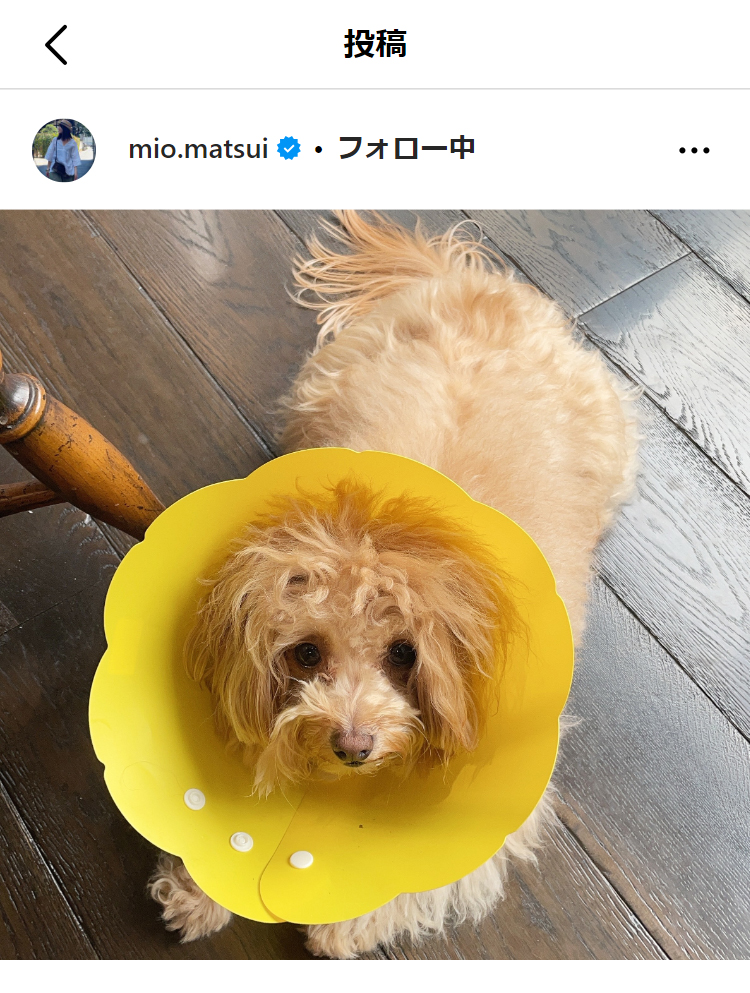 松井美緒のインスタグラムから