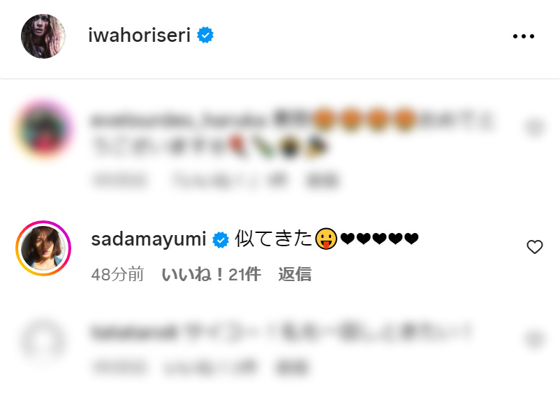 コメント欄に寄せられた佐田真由美の指摘（岩堀せりのインスタグラムから）
