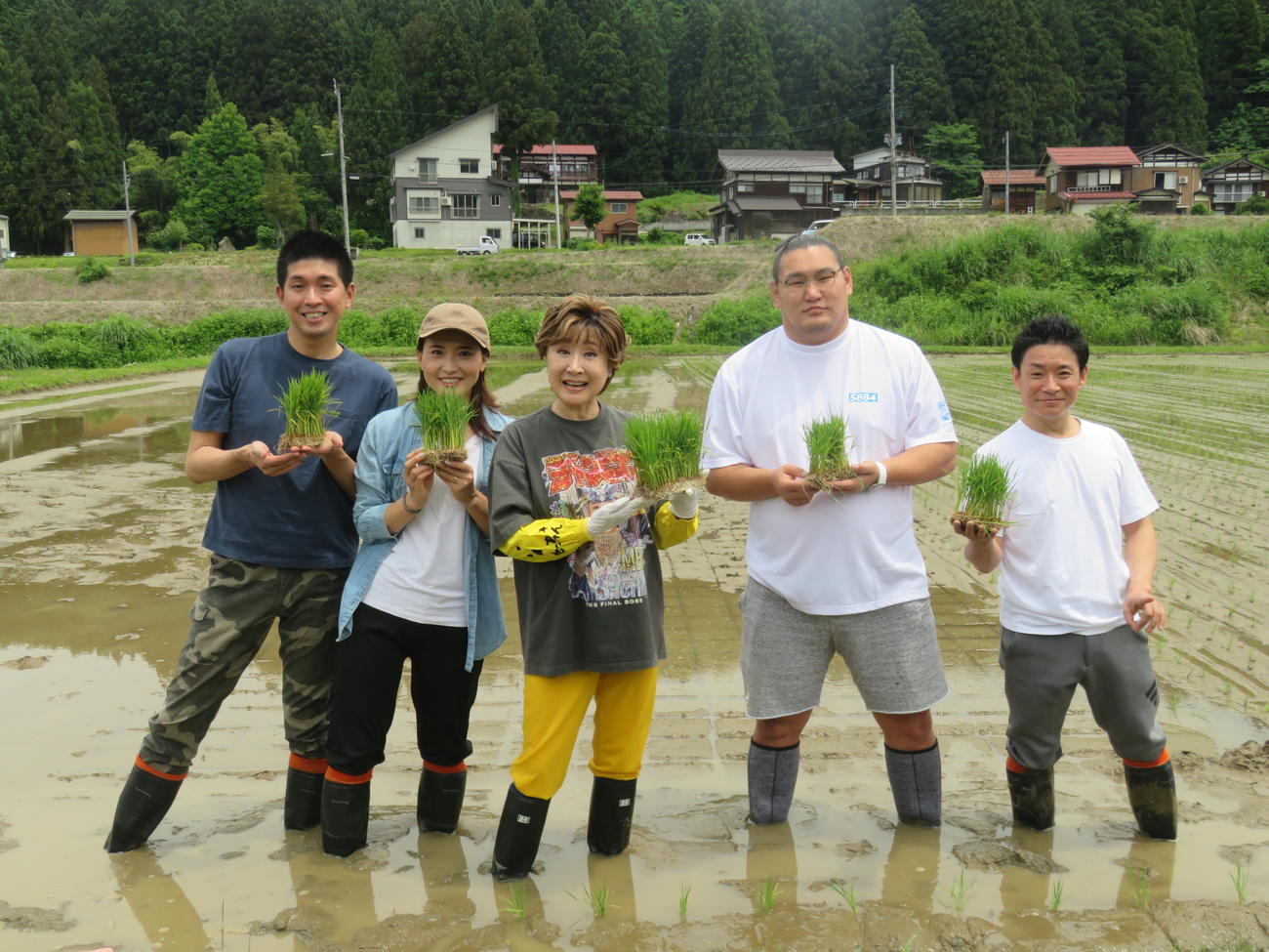 「越後情話立浪部屋ファーム」でブランド米「越後情話」の田植えを行った、左から宮崎謙介氏、金子恵美氏、小林幸子、大関豊昇龍、蛯名健一