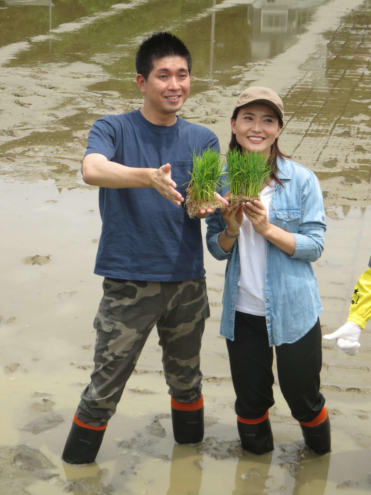 「越後情話立浪部屋ファーム」でブランド米「越後情話」の田植えを行った、宮崎謙介（左）金子恵美夫妻