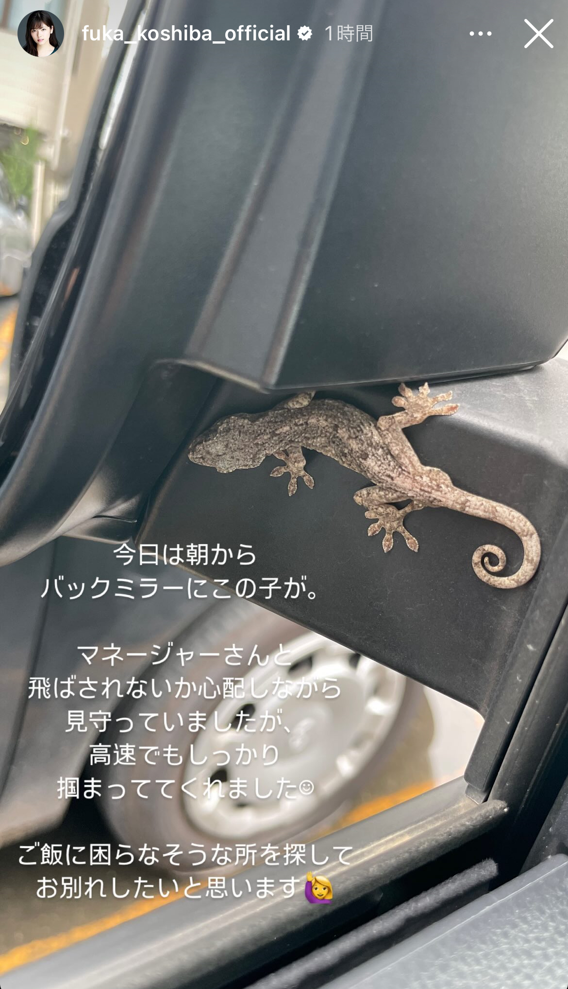 小芝風花のインスタグラムから