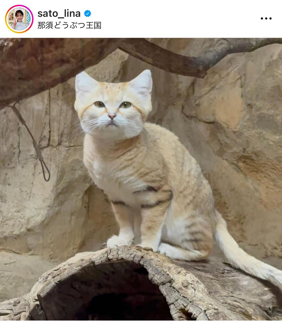 佐藤梨那アナのインスタグラムから