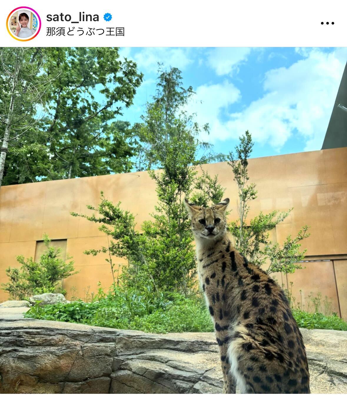 佐藤梨那アナのインスタグラムから