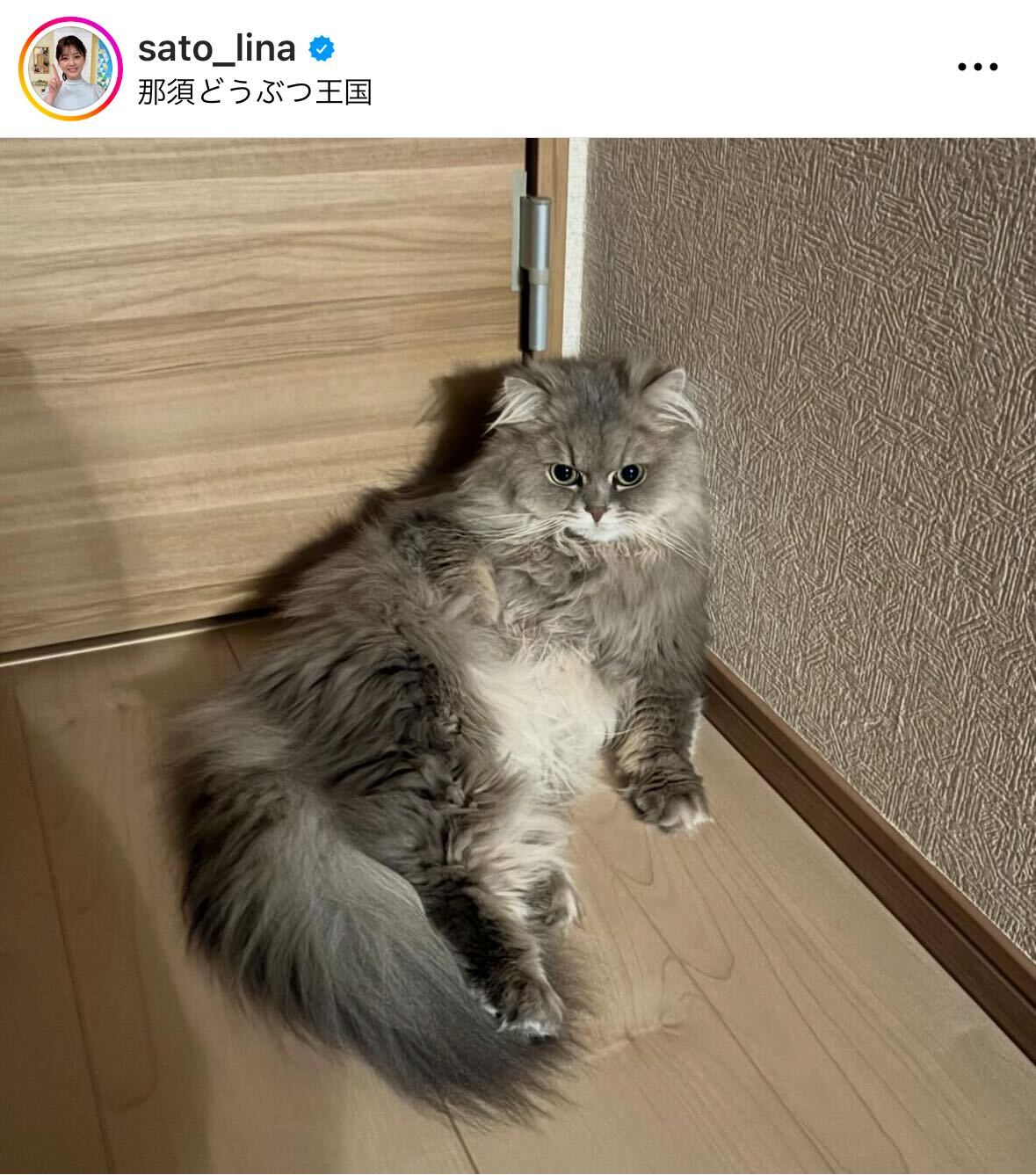 佐藤梨那アナのインスタグラムから