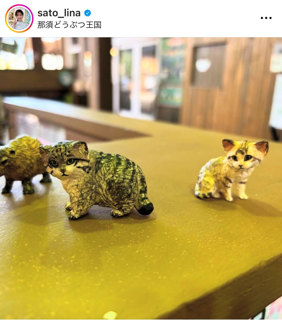 佐藤梨那アナのインスタグラムから