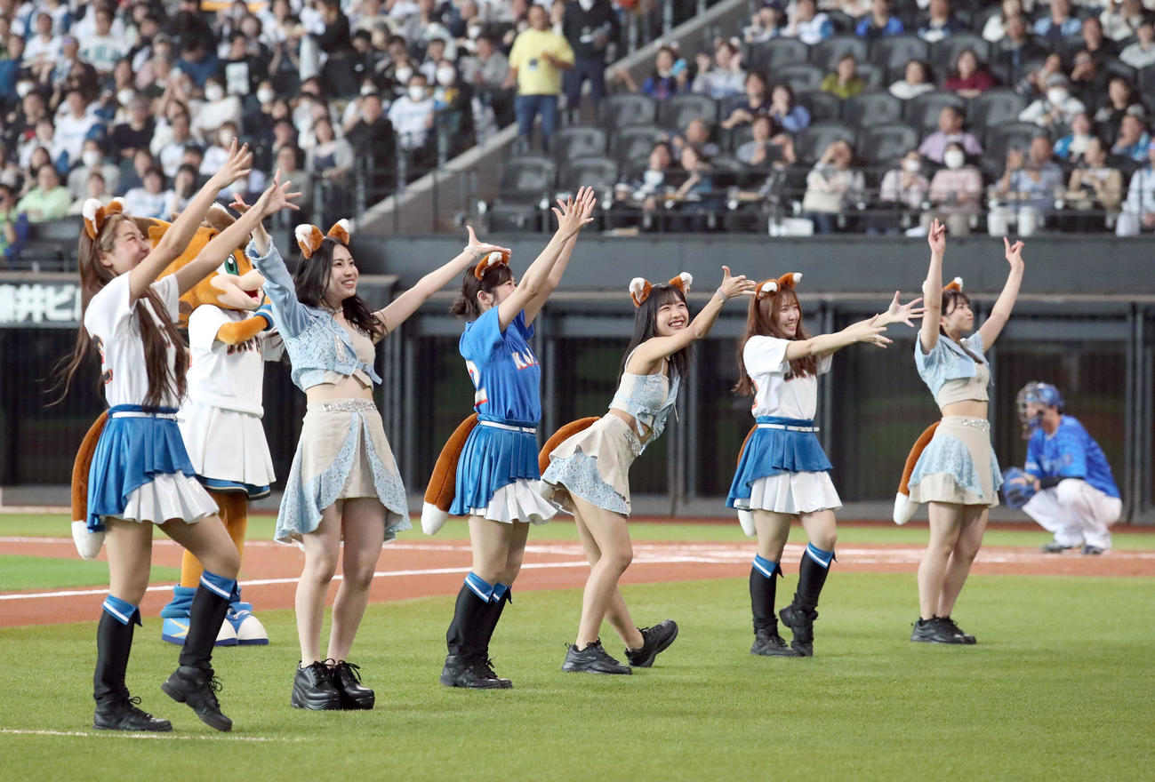「きつねダンス」を踊るモーニング娘。’24とファイターズガール（2024年6月2日撮影）