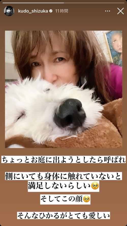 工藤静香、愛犬ヒカルに顔寄せツーショット「側にいても身体に触れてい 