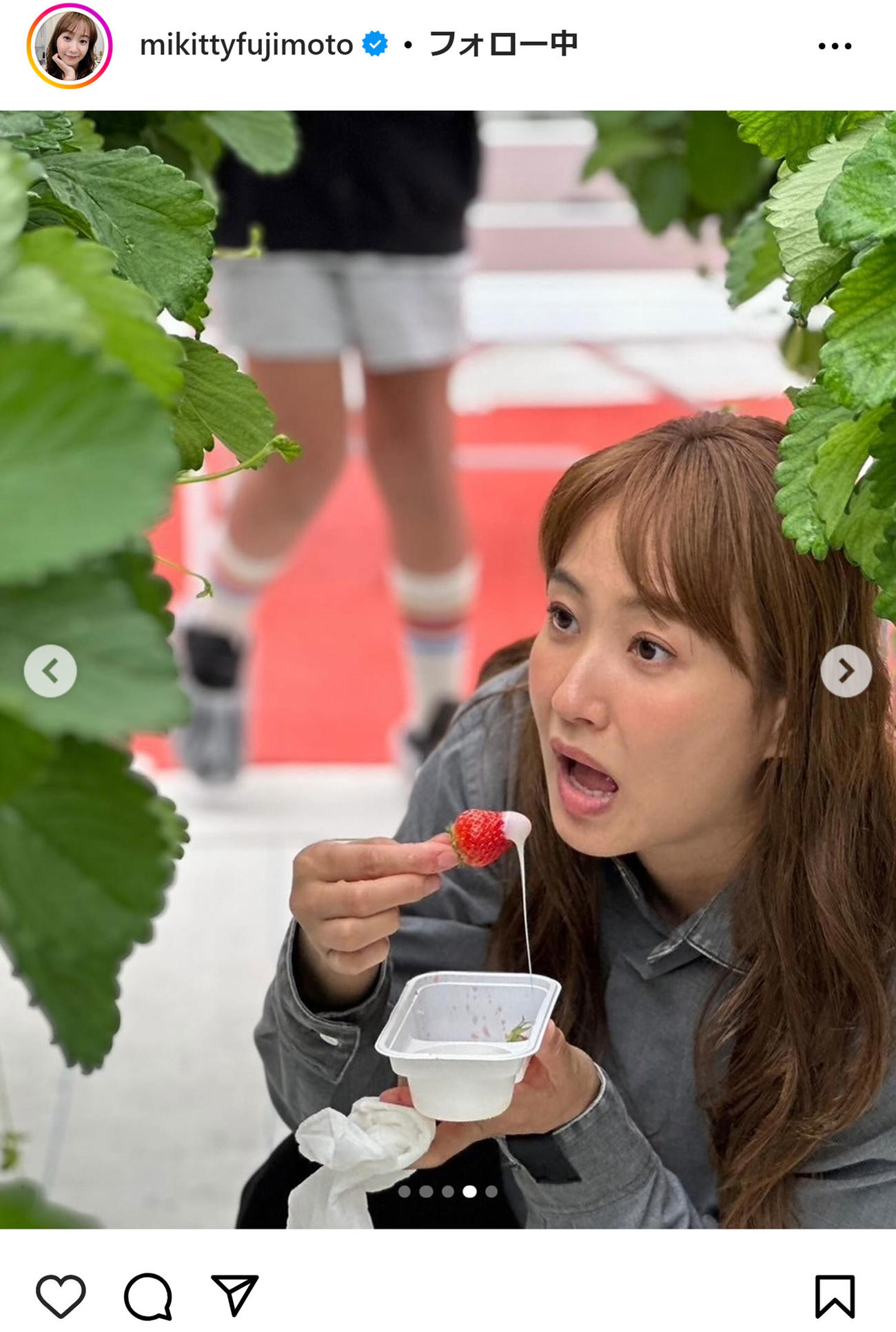 藤本美貴のインスタグラムから