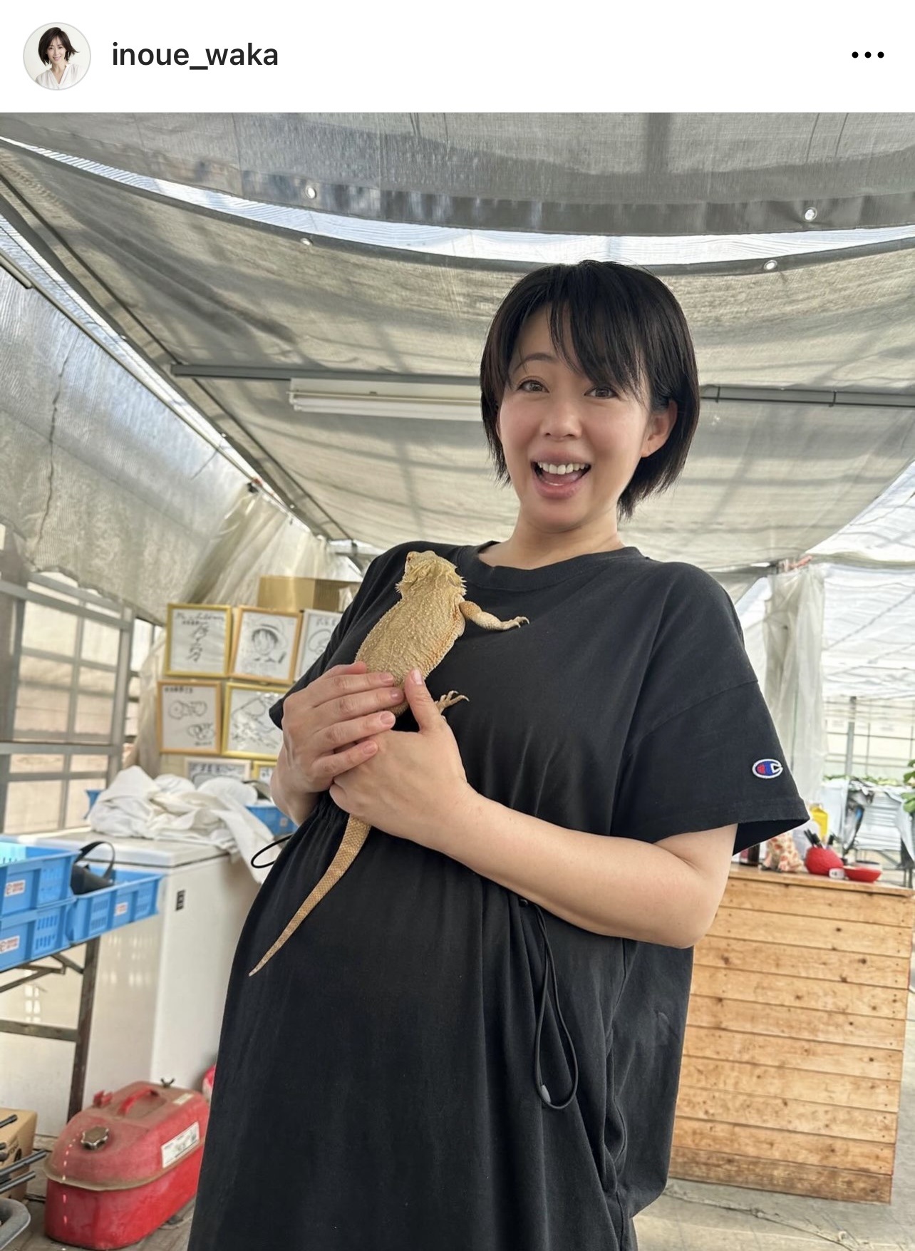 （井上和香のインスタグラムから）