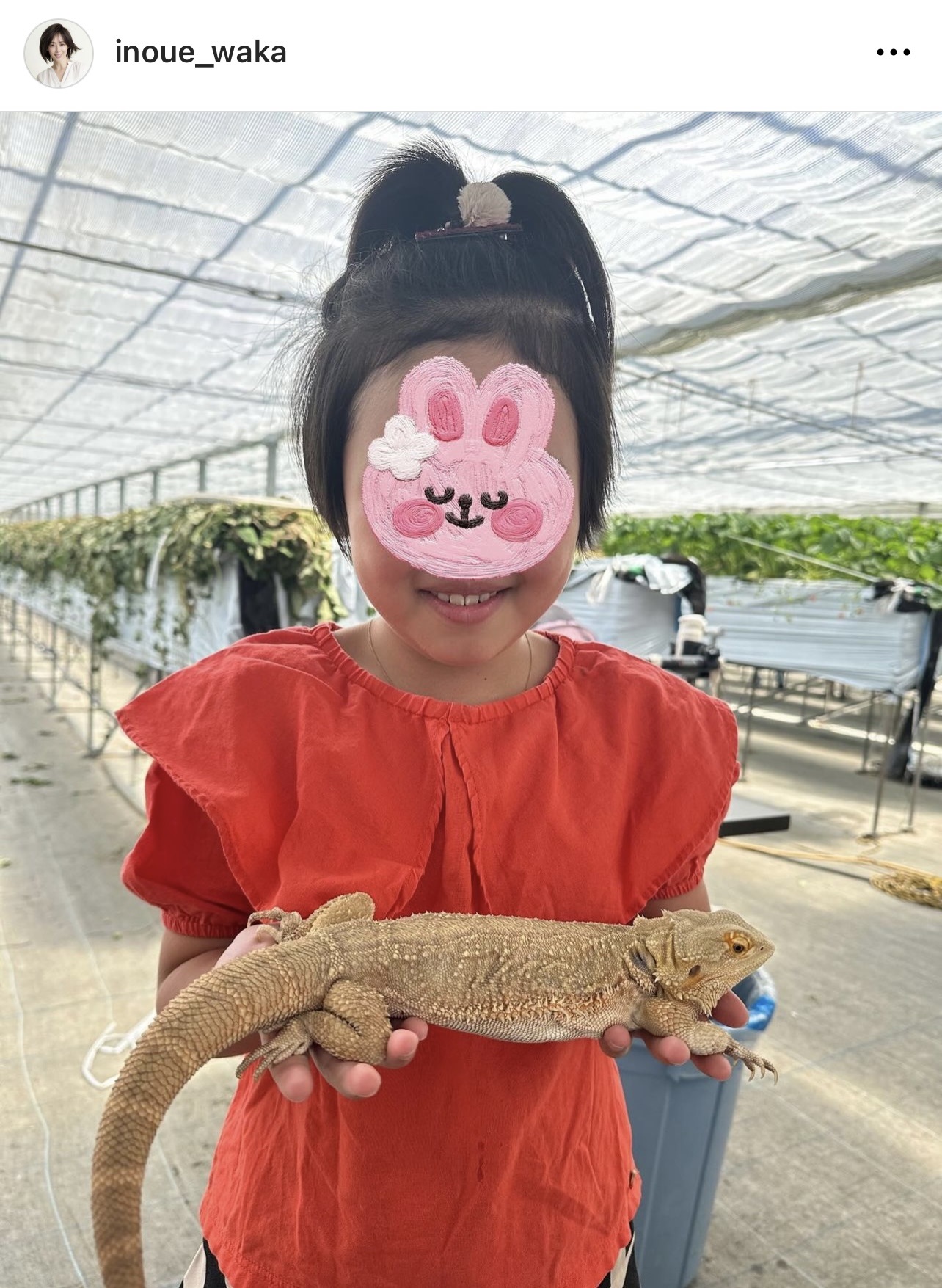 （井上和香のインスタグラムから）