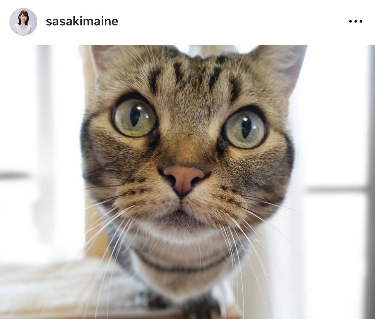 （佐々木舞音アナウンサーのインスタグラムから）