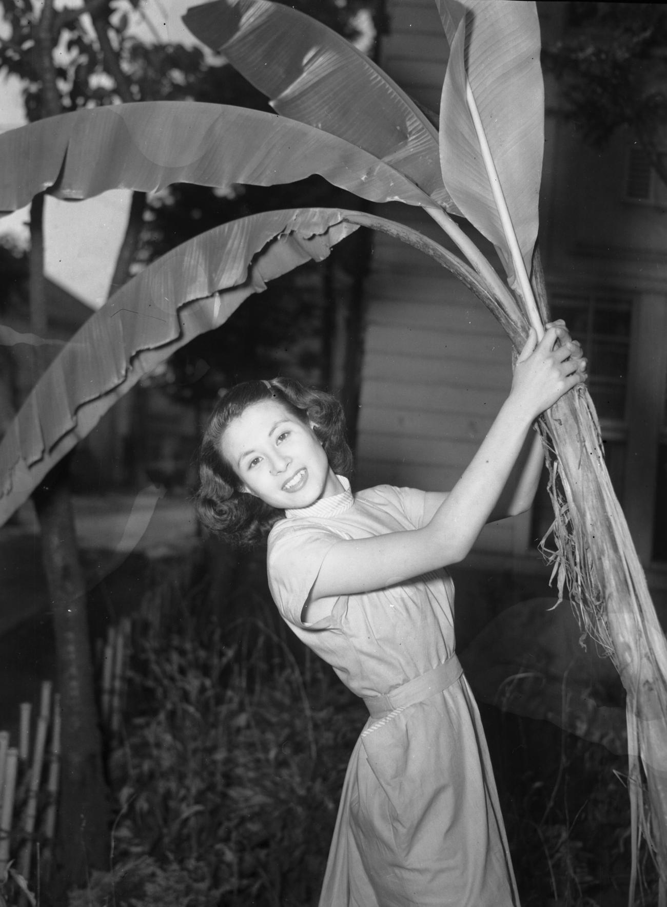 久我美子さん（1951年9月6日）