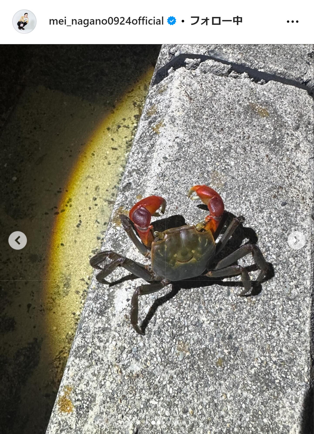 永野芽郁のインスタグラムから