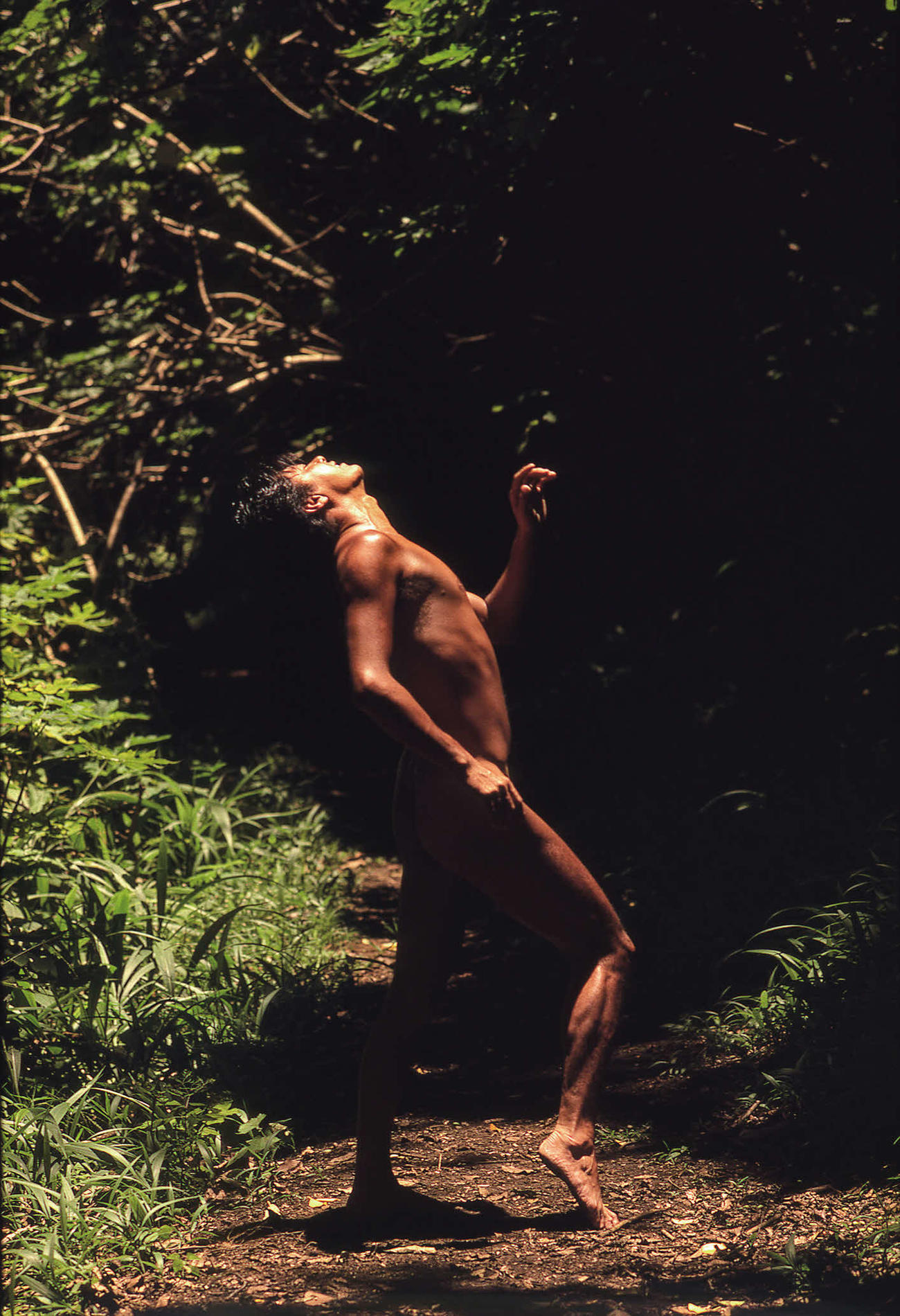 西城秀樹さんの写真集「BODY2」