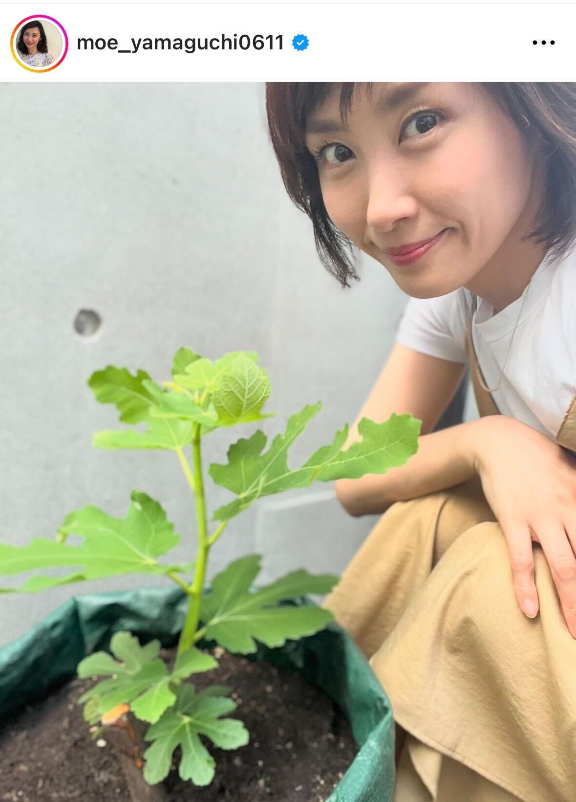 山口もえのインスタグラムから